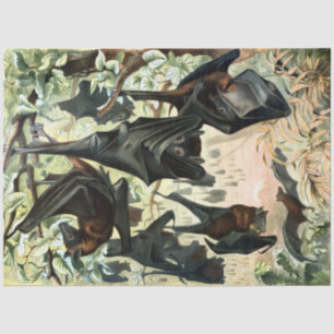 Vintage flying fox bat acadamia illustration tissue paper