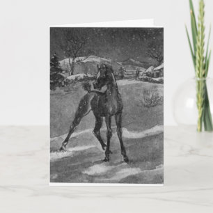 Vintage Foal In Winter Holiday Card