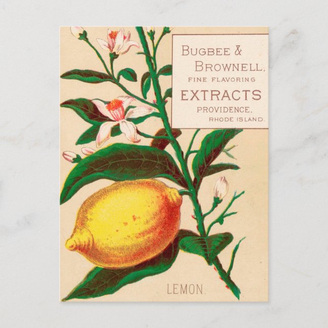 Vintage : food advertising - postcard (Front)