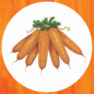 Vintage Food, Bunch of Organic Carrots Vegetables Classic Round Sticker