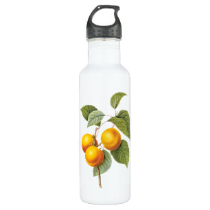 Vintage Food Fruit, Apricot Peach by Redoute 710 Ml Water Bottle