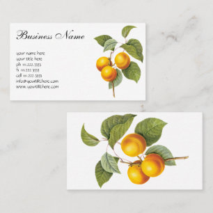 Vintage Food Fruit, Apricot Peach by Redoute Business Card