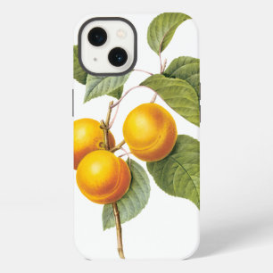 Vintage Food Fruit, Apricot Peach by Redoute iPhone Case