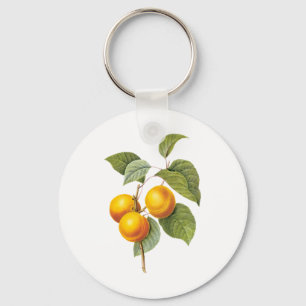 Vintage Food Fruit, Apricot Peach by Redoute Key Ring