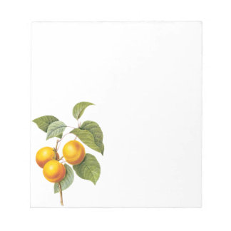 Vintage Food Fruit, Apricot Peach by Redoute Notepad