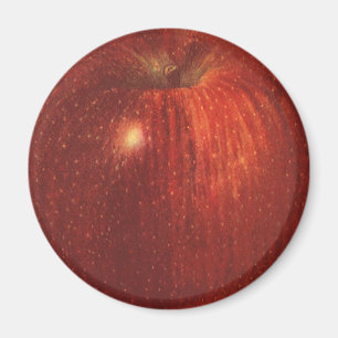 Vintage Food Fruit, Organic Red Delicious Apple Magnet