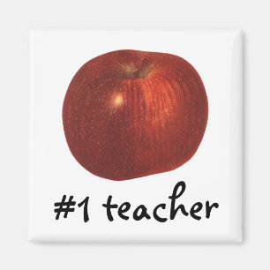 Vintage Food Fruit, Organic Red Delicious Apple Magnet