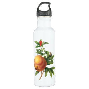 Vintage Food Fruit, Pomegranate by Redoute 710 Ml Water Bottle