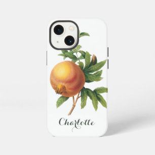 Vintage Food Fruit, Pomegranate by Redoute iPhone Case