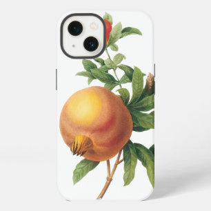 Vintage Food Fruit, Pomegranate by Redoute iPhone Case