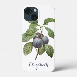 Vintage Food Fruit, Purple Garden Plums by Redoute iPhone 13 Mini Case