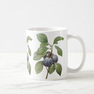 Vintage Food Fruit, Purple Garden Plums by Redoute Coffee Mug