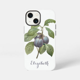 Vintage Food Fruit, Purple Garden Plums by Redoute iPhone Case