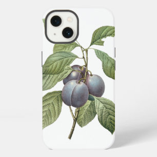 Vintage Food Fruit, Purple Garden Plums by Redoute iPhone Case