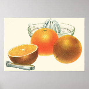 Vintage Food Fruit, Ripe Oranges Juicer Breakfast Poster