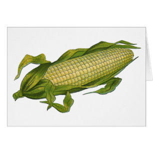 Vintage Food, Healthy Vegetables, Corn on the Cob