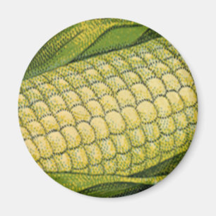 Vintage Food, Healthy Vegetables, Corn on the Cob Magnet