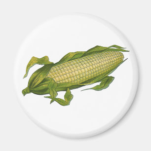 Vintage Food, Healthy Vegetables, Corn on the Cob Magnet