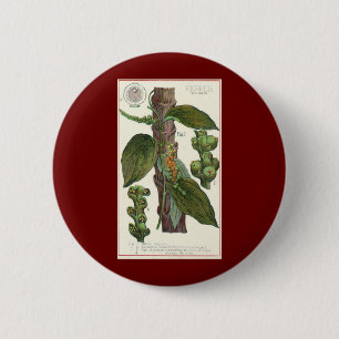 Vintage Food Herbs Spices, Black Pepper Plant 6 Cm Round Badge