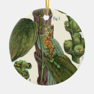 Vintage Food Herbs Spices, Black Pepper Plant Ceramic Tree Decoration
