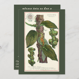 Vintage Food Herbs Spices, Black Pepper Plant Invitation