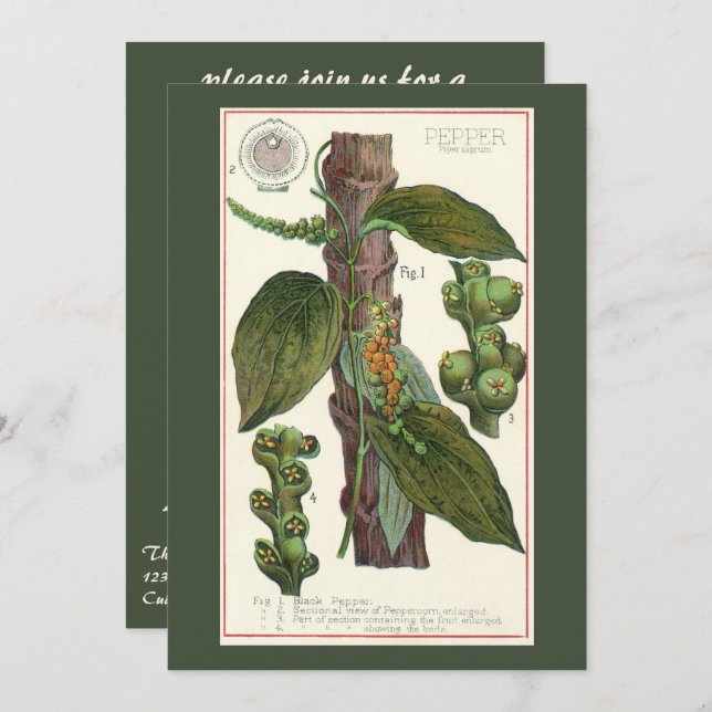 Vintage Food Herbs Spices, Black Pepper Plant Invitation (Front/Back)