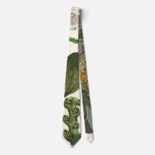 Vintage Food Herbs Spices, Black Pepper Plant Tie
