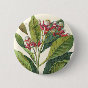 Vintage Food Herbs Spices, Cloves Plant 6 Cm Round Badge