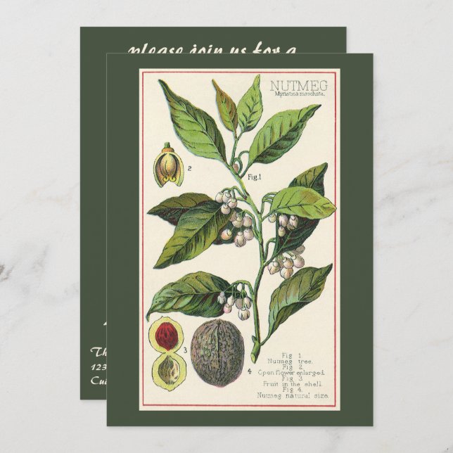 Vintage Food Herbs Spices, Nutmeg Plant Party Invitation (Front/Back)