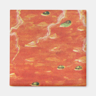 Vintage Food, Hot Bowl of Tomato Soup with Peas Magnet