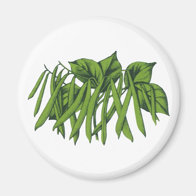 Vintage Food, Organic Green Beans Vegetables Magnet (Front)