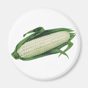 Vintage Food Vegetables White Corn on the Cob Magnet