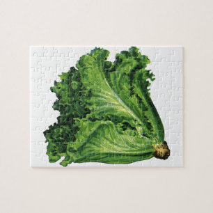 Vintage Foods, Green Leaf Lettuce Vegetables Jigsaw Puzzle