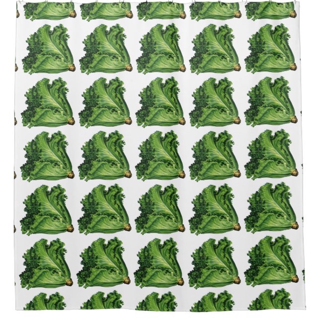 Vintage Foods, Green Leaf Lettuce Vegetables Shower Curtain (Front)