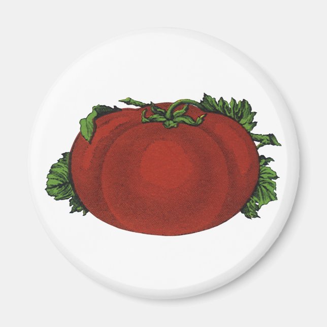 Vintage Foods, Ripe Tomato, Vegetables and Fruits Magnet (Front)
