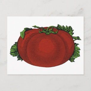 Vintage Foods, Ripe Tomato, Vegetables and Fruits Postcard