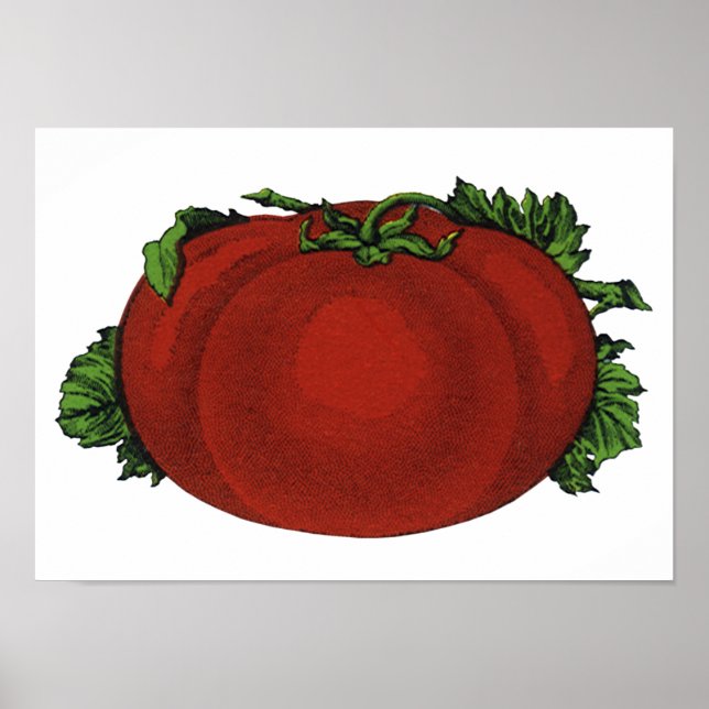 Vintage Foods, Ripe Tomato, Vegetables and Fruits Poster (Front)