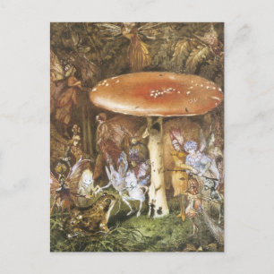 Vintage Forest Faeries Postcard