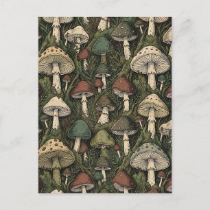 Vintage Forest Mushrooms Moody Cottagecore Postcard