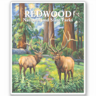 Vintage Forest Redwood Wildlife Elk Van Gogh Style