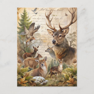 Vintage Forest Woodland Deer Fall Foliage Antique  Postcard