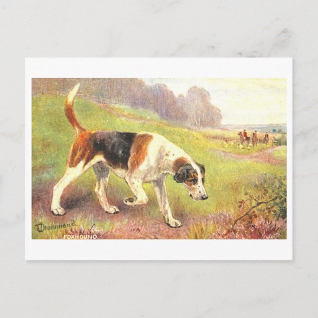 Vintage Fox Hounds Postcard (Front)
