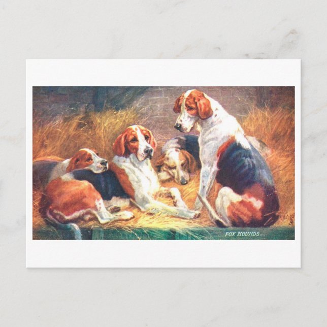 Vintage Fox Hounds Postcard (Front)
