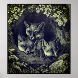 Vintage fox poster