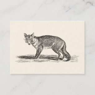 Vintage Foxy Fox Illustration - 1800's Foxes Business Card