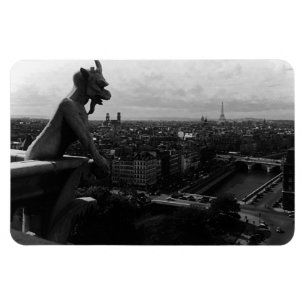 Vintage France Paris Notre Dame Cathedral devil Magnet