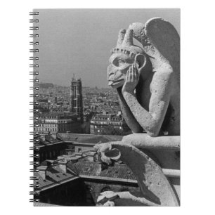 Vintage France Paris Notre Dame Cathedral thinker Notebook