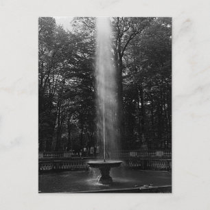 Vintage France Versailles Palace grove of Domes Postcard