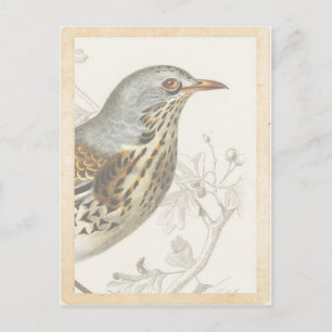 Vintage French Bird on Branch Journal Card