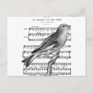 Vintage French Bird Song Music Postcard